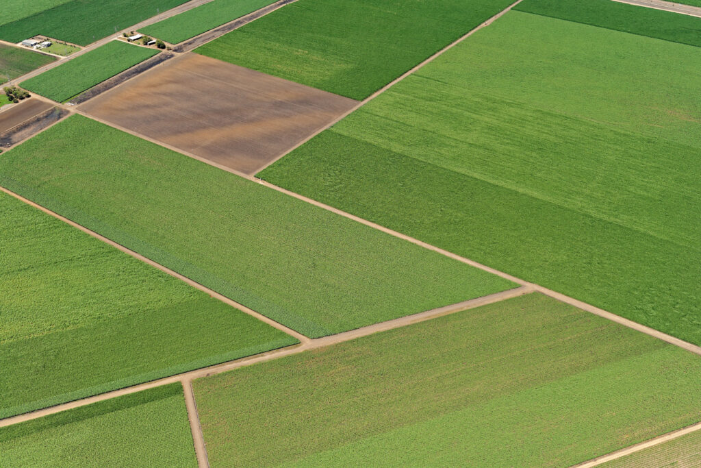Aerial view of sugar cane field patterns near Ayr, North Queensland